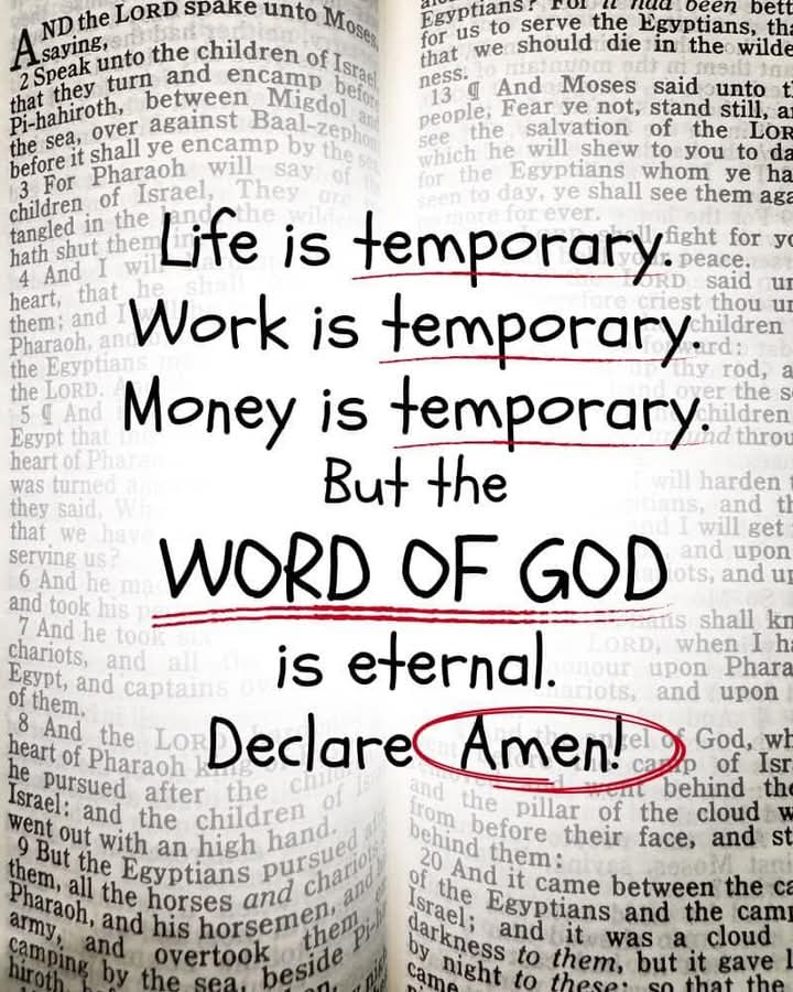 Sword⚔️&Torch🔦of God🤺🛡️📖🩺🏥 tweet media