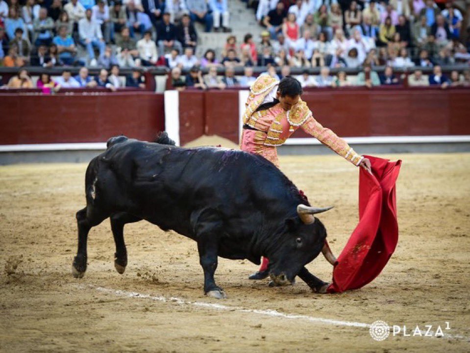 si esto funcionase, le debería arder el teléfono ofreciéndole contratos en cuanto salga de la plaza.

FORTES, torerazo.