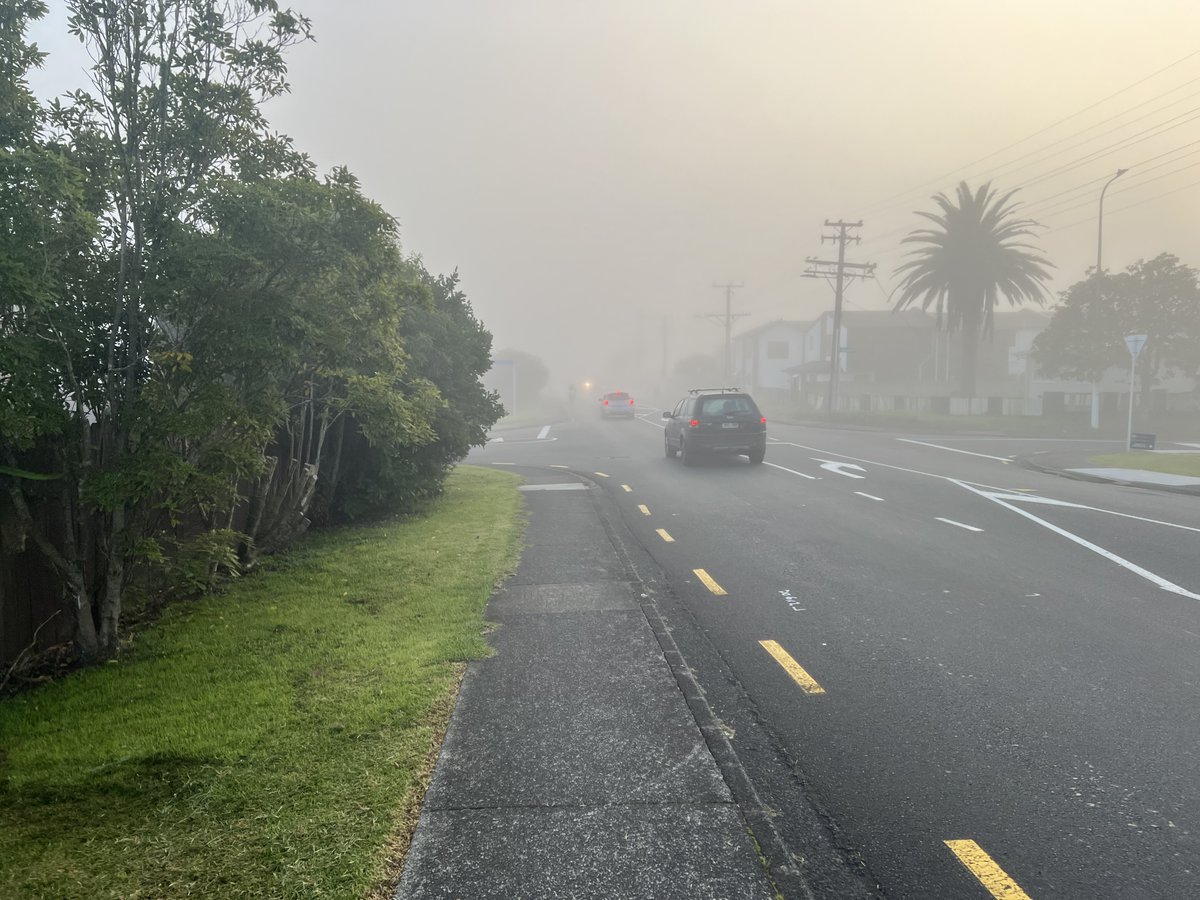 🚲 AklBikes 🚲 tweet media