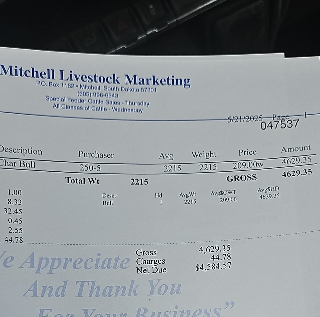 Bull market ain't to shabby.
