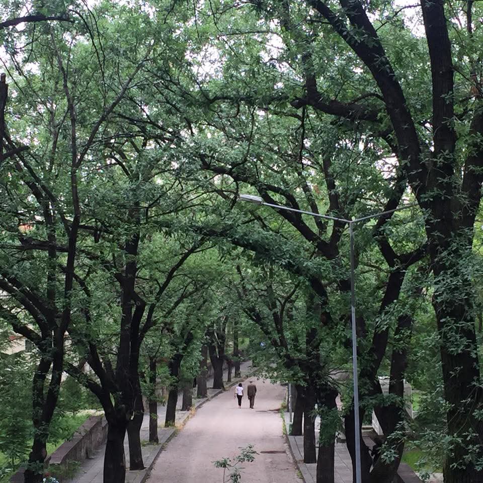 Bu benim yolum du... #saraçoğlu