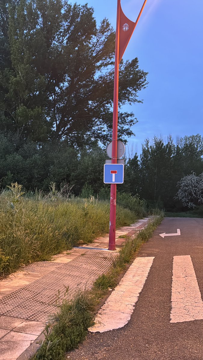 janny_ou's tweet photo. Tenemos enfrente de casa, todo lleno de espigas, de garrapatas, y en cuanto esto empiece a secar riesgo de incendio. Aquí es donde van nuestros impuestos? Vandalismo, retrovisores, rotos basura que no se recoge durante semanas… hasta cuando? https://t.co/gHraq8cDan