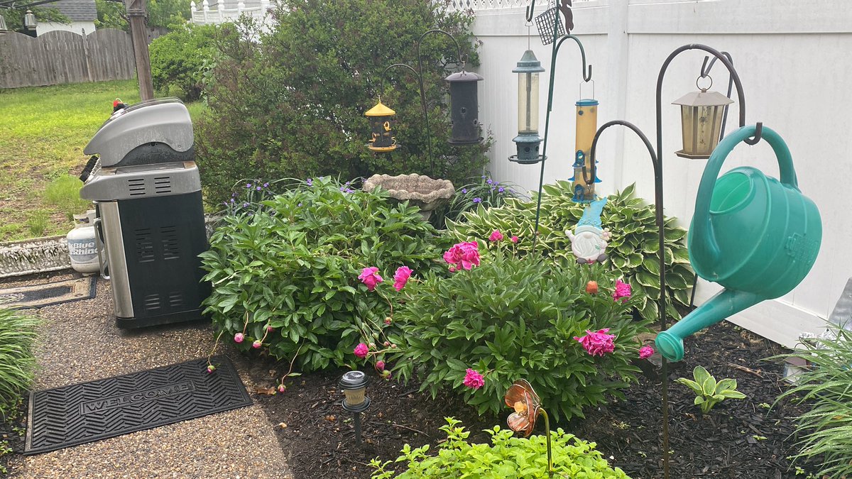 Newjerseydevel's tweet image. Didn’t get to show off this part of the garden yet! It is already so nice!