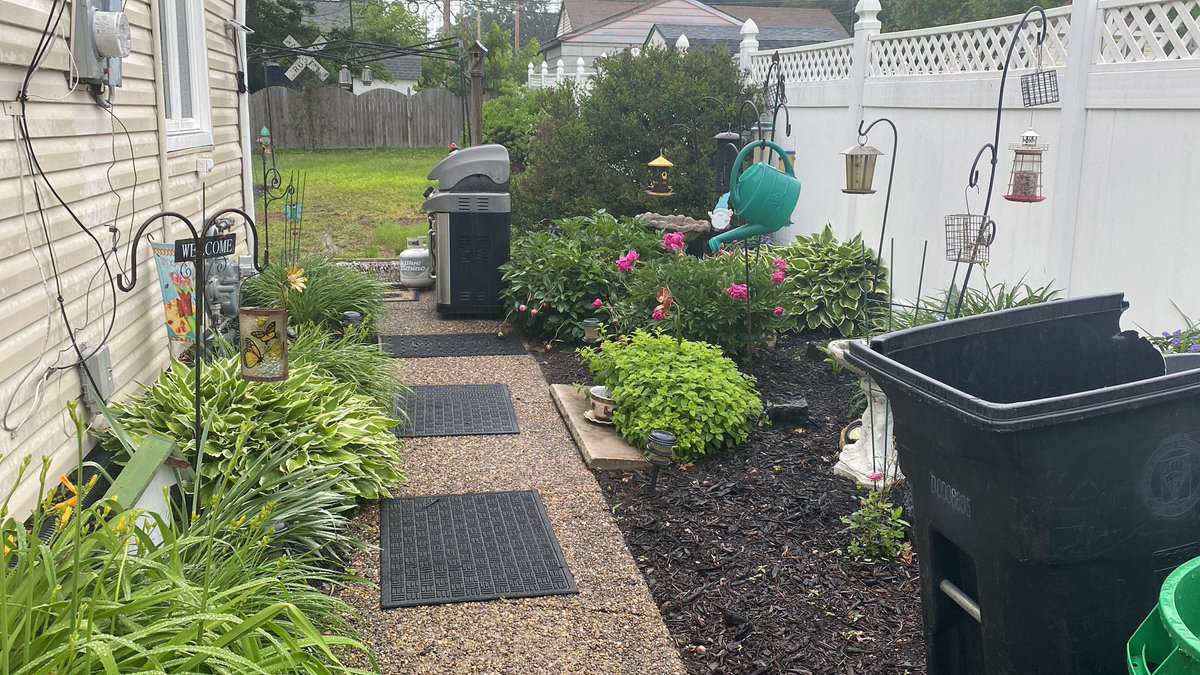 Newjerseydevel's tweet image. Didn’t get to show off this part of the garden yet! It is already so nice!