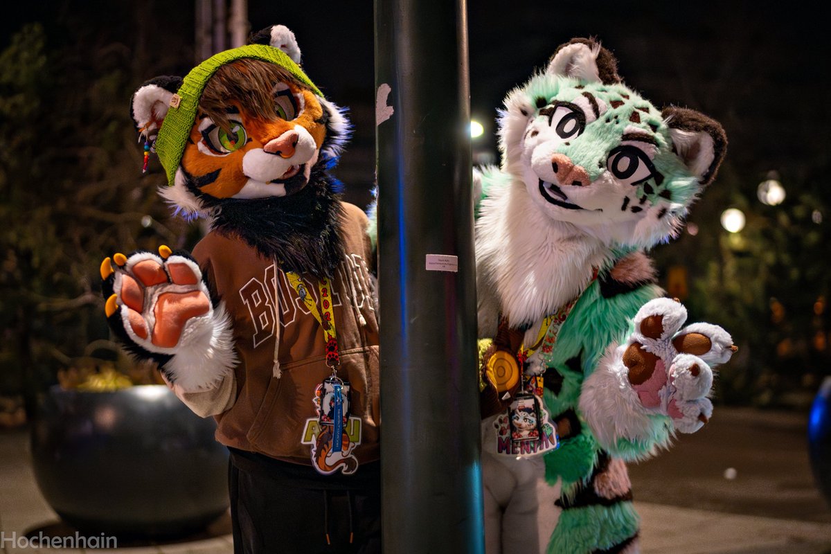 Hochenhain's tweet image. Found two friendly cats on the street in Malmö at #NFC25.
These guys are making amazing fursuits.(@tomacats_suits)
@AxomUma 
@leohariart