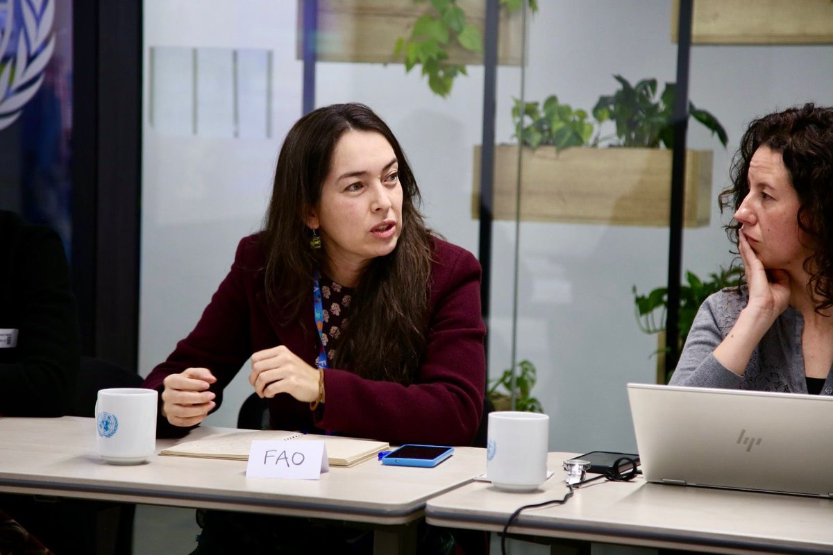 PnudColombia's tweet image. ¿Qué es el Eje 4 del UNSDCF?
Es liderado por PNUD y UNODC y articula acciones en medio ambiente, acción climática y transición energética, que a través del trabajo conjunto del SNU, genera sinergias entre el nivel nacional y territorial para alcanzar los compromisos climáticos.