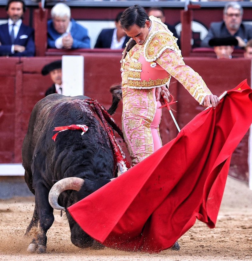 Victor Dorado (@vdora2p) on Twitter photo Ahora que…? Pues ahora a comprobar cómo durante la temporada taurina, Fortes no tiene cabida en las ferias. Hacérselo mirar los empresarios y si no cambiáis la situación, cuando queráis cambiarla, será tarde. #Fortes #SanIsidro2025 <a href="/JimenezFortes/">Saúl Jiménez FORTES</a> <a href="/LasVentas/">Plaza de Las Ventas</a> Ahora que…? Pues ahora a comprobar cómo durante la temporada taurina, Fortes no tiene cabida en las ferias. Hacérselo mirar los empresarios y si no cambiáis la situación, cuando queráis cambiarla, será tarde. #Fortes #SanIsidro2025 <a href="/JimenezFortes/">Saúl Jiménez FORTES</a> <a href="/LasVentas/">Plaza de Las Ventas</a>
