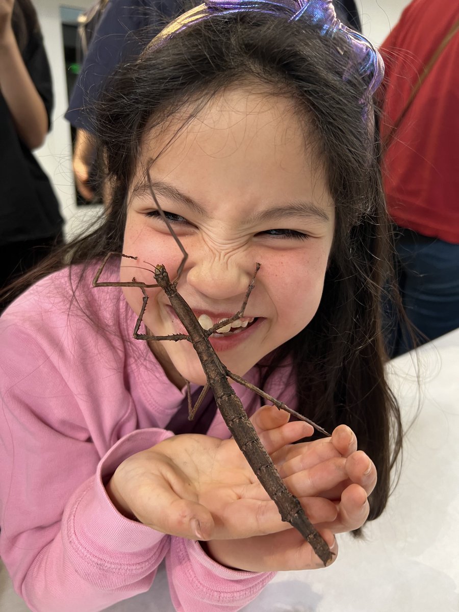 SaveNatureOrg's tweet photo. InsectPalooza is almost here! Join us on June 1st from 12-3pm for this FREE community event, just RSVP your free tickets at https://t.co/gtAAFRTDqF :) see you there 🪲🐞🦋🐛🪳🐜🦗 https://t.co/VsVtXF3v8i