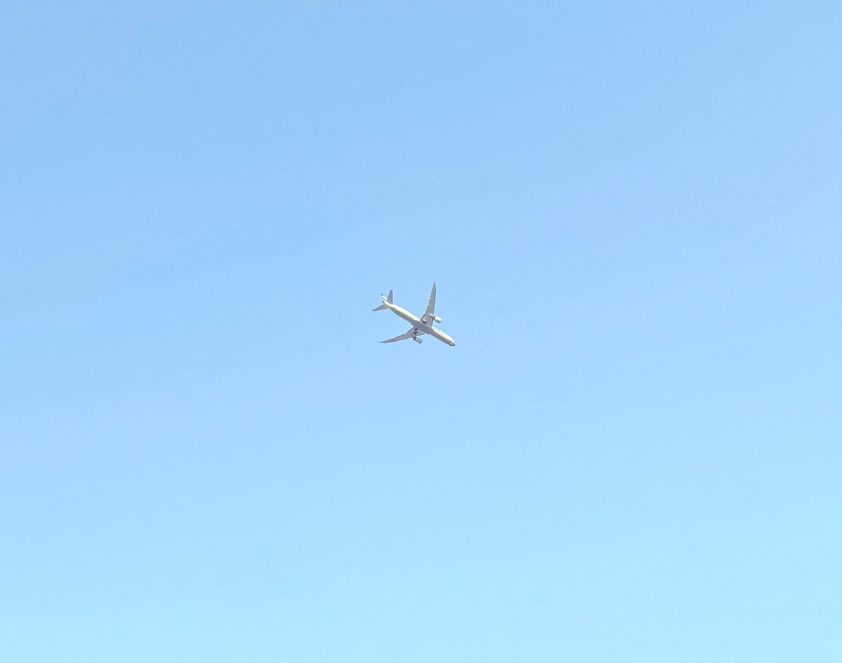 やりたいこと全部を諦めたくないから
できることは全部やる。今はそれだけ。