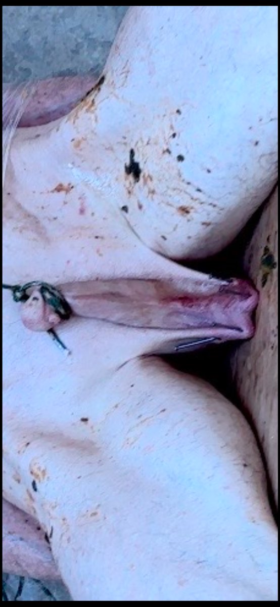 Stillleben (Still life)

#cbt
#nailit