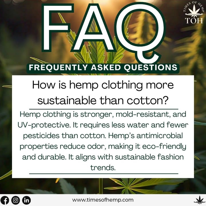 Effort's Eco-Essentials tweet media