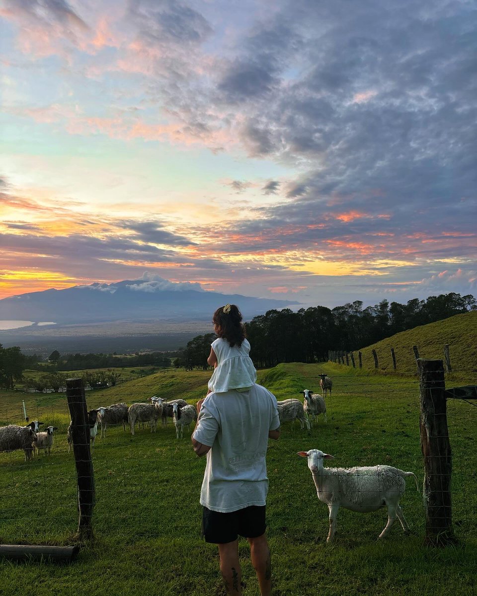 sarvani (@sarvanieloheimo) on Twitter photo 