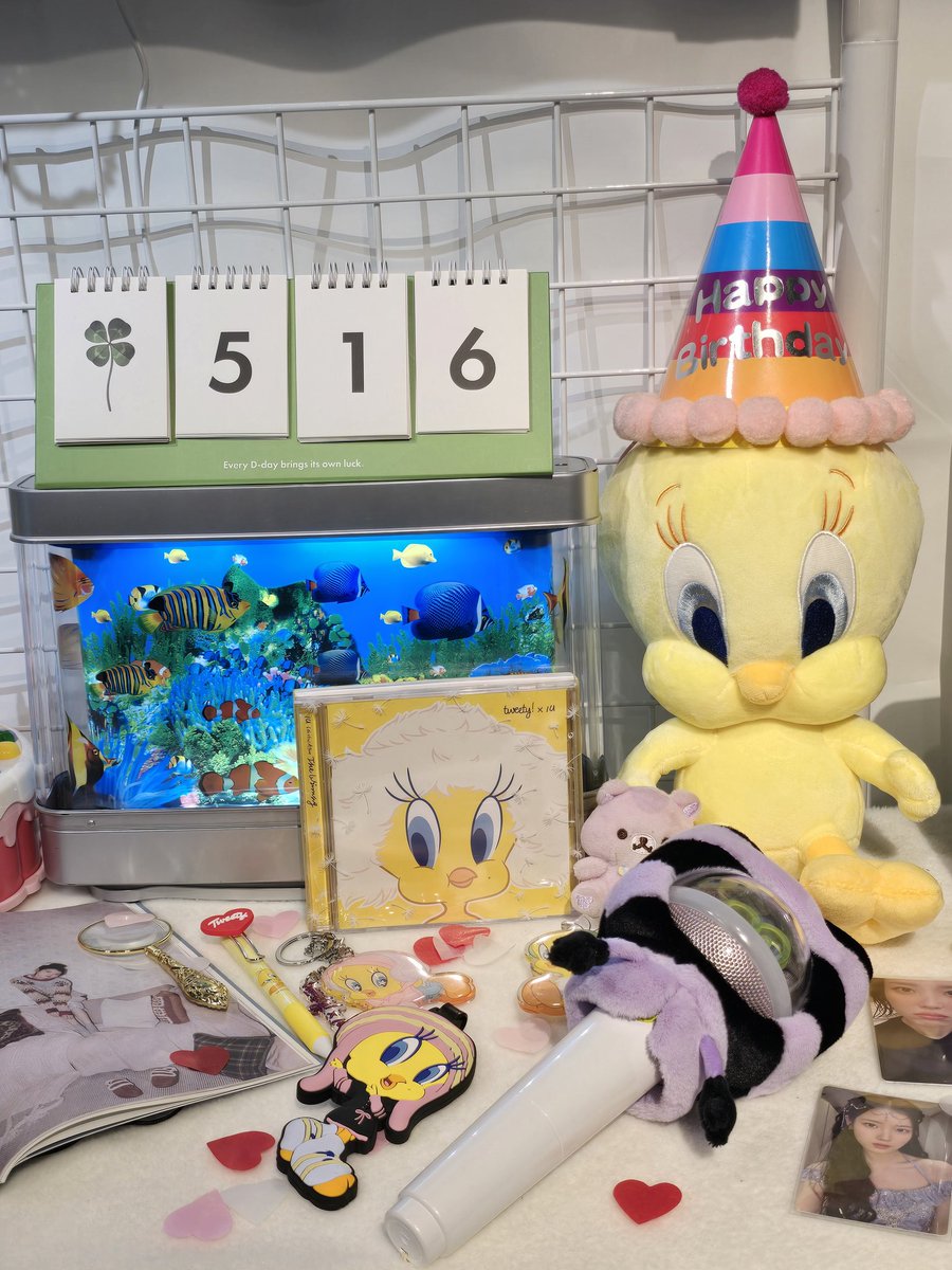 🐱8LIEN 보람찡🐱 tweet media