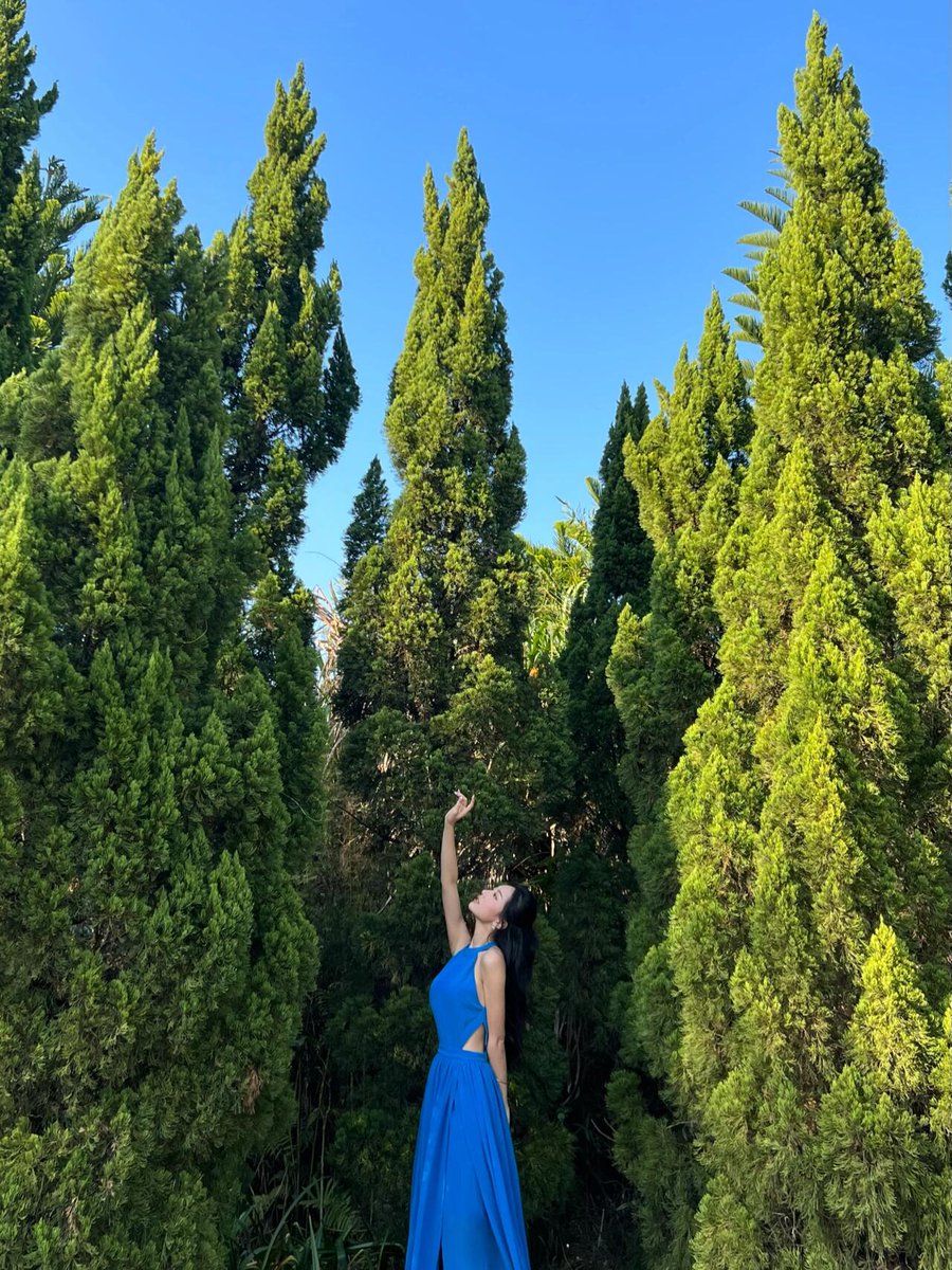 helloLeeEileen's tweet photo. The romance of the color blue, harmoniously intertwined with nature 💙🌲
Record this good time https://t.co/xqU3sxkuAY