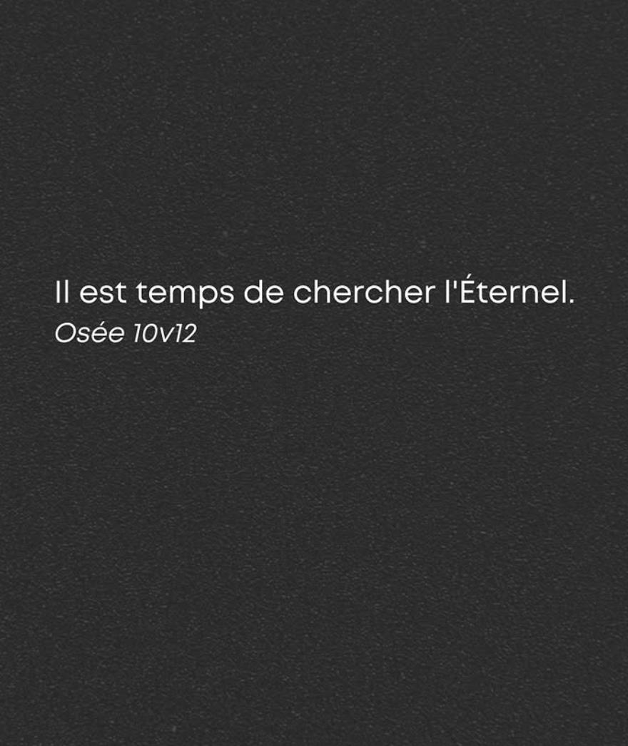 LaBiblesurlenet's tweet photo. https://t.co/FGojzacLFc