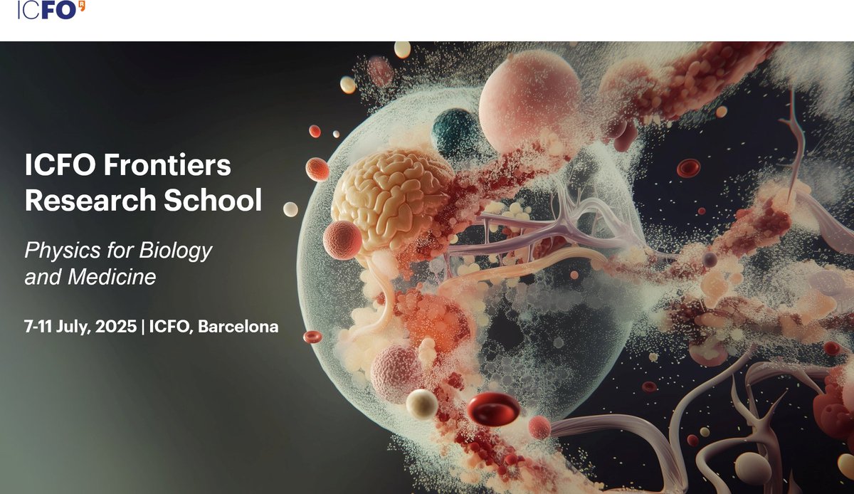 ICFO (@icfonians) on Twitter photo 🔬The <a href="/SLN_ICFO/">SLN - ICFO</a> group, led by Dr. Pablo Loza, will take part in the upcoming School on ‘Physics for Biology and Medicine’, presenting applications of mesoscopic light-sheet microscopy in the study of neuronal organoids.
📅7- 11 July |📍ICFO
Register here👉bit.ly/4cpUGzM 🔬The <a href="/SLN_ICFO/">SLN - ICFO</a> group, led by Dr. Pablo Loza, will take part in the upcoming School on ‘Physics for Biology and Medicine’, presenting applications of mesoscopic light-sheet microscopy in the study of neuronal organoids.
📅7- 11 July |📍ICFO
Register here👉bit.ly/4cpUGzM