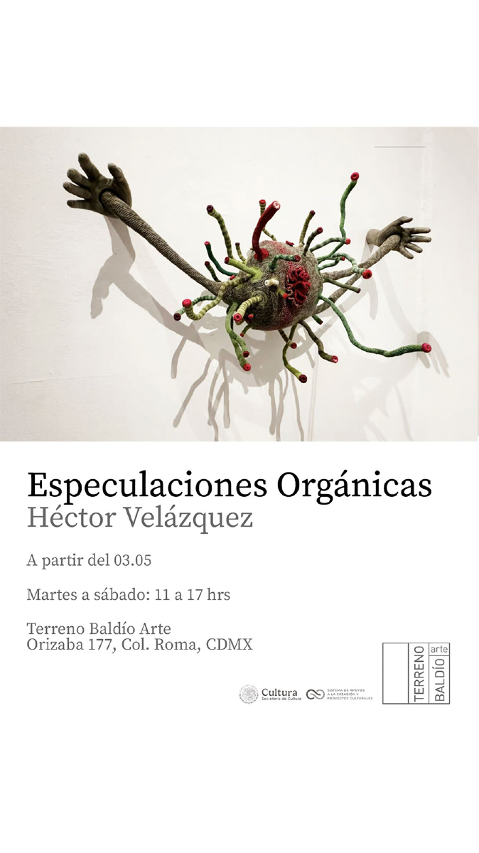 Terreno Baldío Arte (@terreno_baldio) on Twitter photo 
