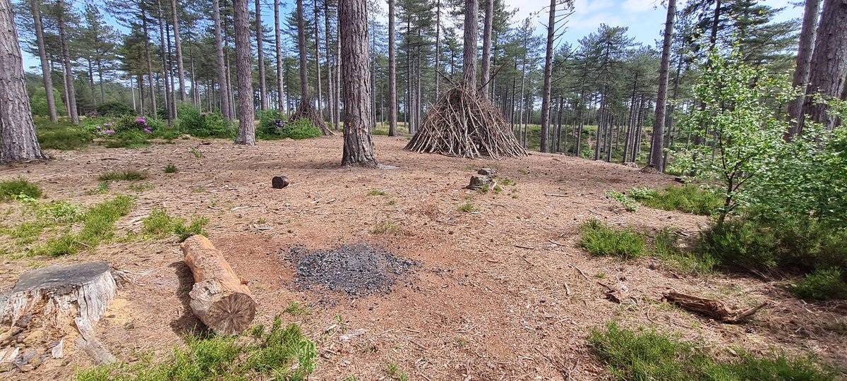 Furzey & Thor⚡ tweet media