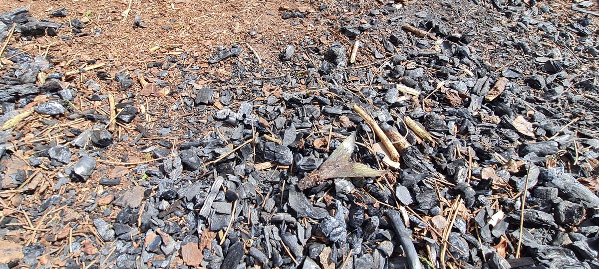 Furzey & Thor⚡ tweet media