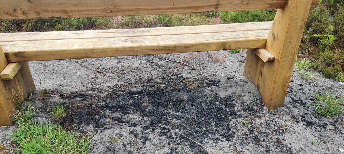 Furzey & Thor⚡ tweet media