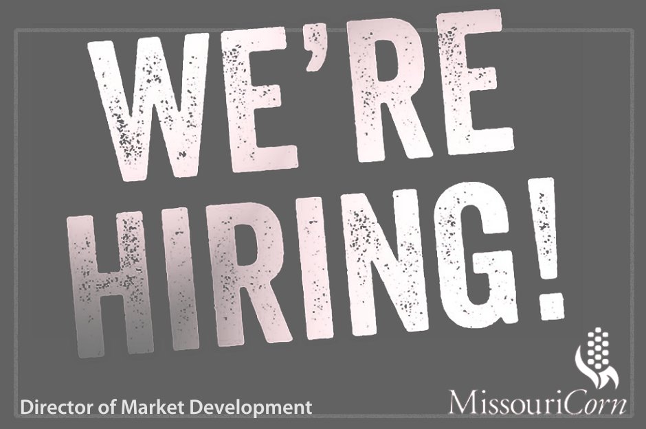 Missouri Corn is hiring a dedicated individual to serve as Director of Market Development, leading strategic efforts to grow markets for corn and ethanol. Know a qualified candidate? A complete job description is available at ow.ly/l51T50VTt6S.