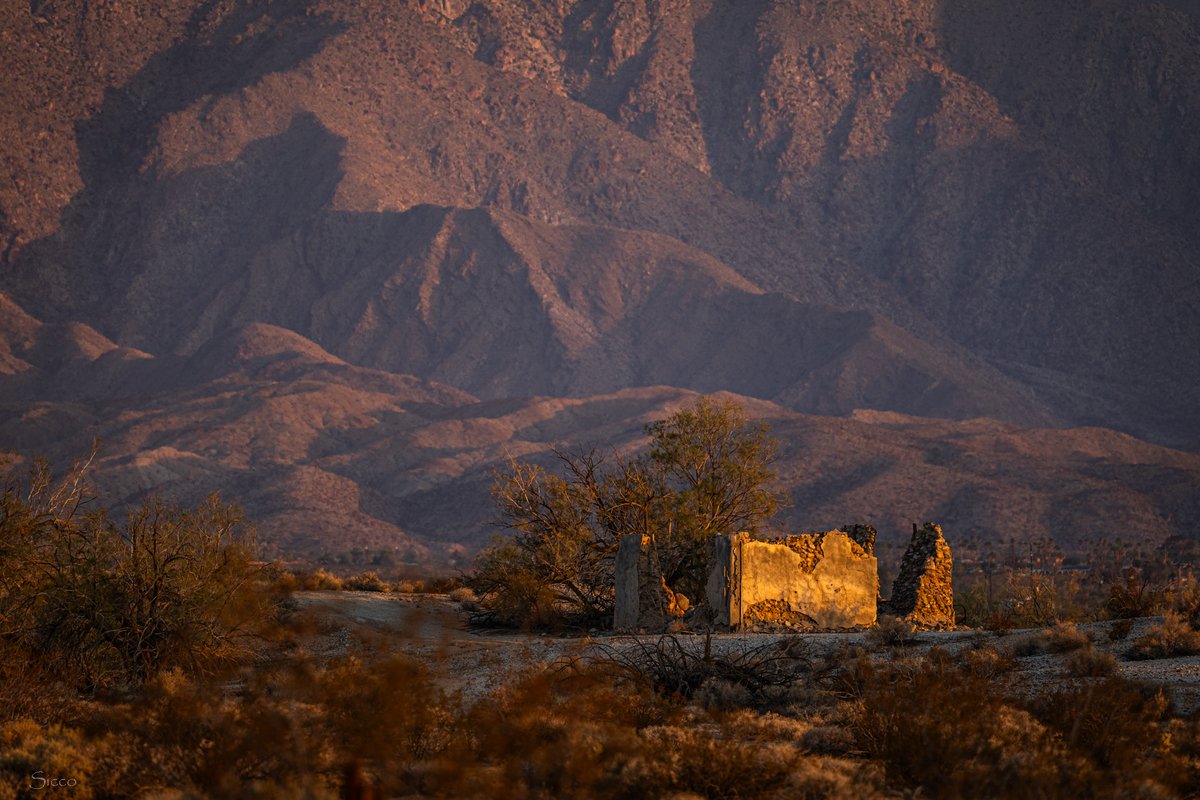 Abandoned homestead somewhere in Anza-Borrego  (Photos: Sicco Rood).