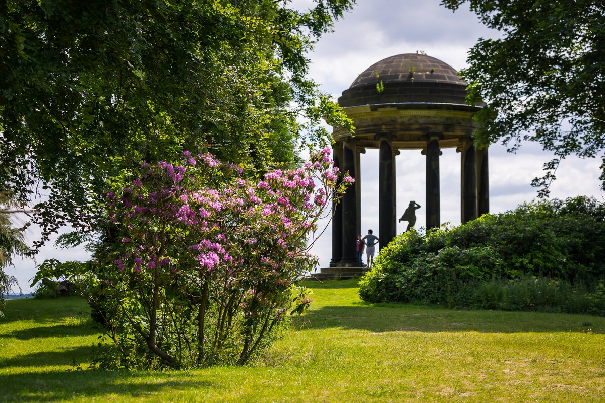 💐 8 WEEKS TO GO! 💐

🐝 The RHS Flower Show 2025 is just 8 weeks away - and the buzz of excitement is in full swing here at Wentworth Woodhouse 🐝 

👉 Haven't got your ticket yet? There's still time! To find out more, and book, follow this link: rhs.org.uk/shows-events/r…
