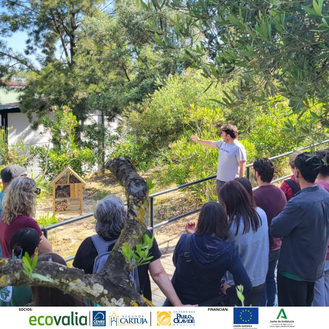 Ecovalia's tweet photo. ¡Así vivimos la jornada de divulgación del GO BIO-C en la impresionante Yeguada Cartuja! 🌾💚 Estudiantes del IES Las Banderas y IES Pablo Ruiz Picasso

Proyecto financiado por FEADER y la Junta de Andalucía. https://t.co/yvOmfKwt1b