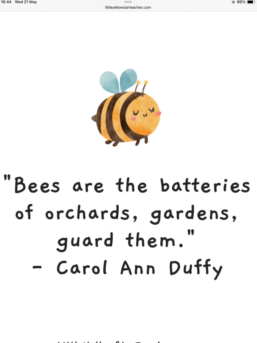 This week Nursery have been finding out all about bees ! 
Did you know bees have 5 eyes! Wow! 
We made cakes called 'Honey Joys'.  The craft area and play dough table was 'buzzing' with excitement. Betty Bee came to visit us too, telling us how we can protect her. ❤️🐝