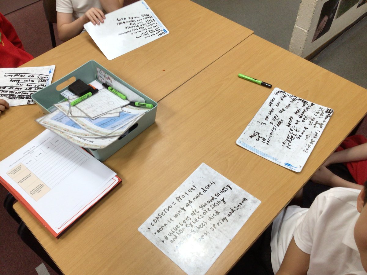 Owl class have been recalling their key bee knowledge from their Geography topic and presenting their facts to each other 🐝 #enfieldnewwalthamowl #enfieldnewwalthamgeography