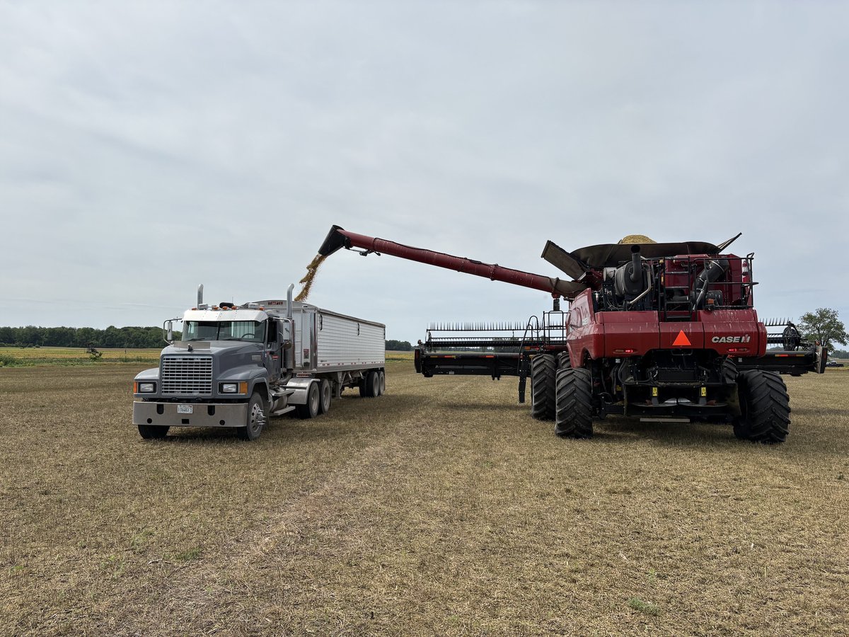 CoverCress's tweet image. CoverCress® harvest is underway in Mt. Carmel, Illinois. Thanks to grower Deric Wright for sharing a look at his field as the crop comes off cleanly after a strong season.

This winter oilseed continues to show its fit in Midwest rotations.
#CoverCress #Harvest2025 #IllinoisAg