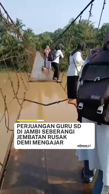 zanatul_91's tweet photo. Guru-guru SD di Jambi viral gara-gara menyebrang jembatan bolong yang berbahaya. Pemerintah dan Pemerintah daerahlah yang harusnya minta maaf karena menghambat guru-guru mengajar dan gagal memberikan fasilitas umum yang memadai. 

Ini guru-gurunya yang minta maaf. 

Indonesia maju 🇮🇩