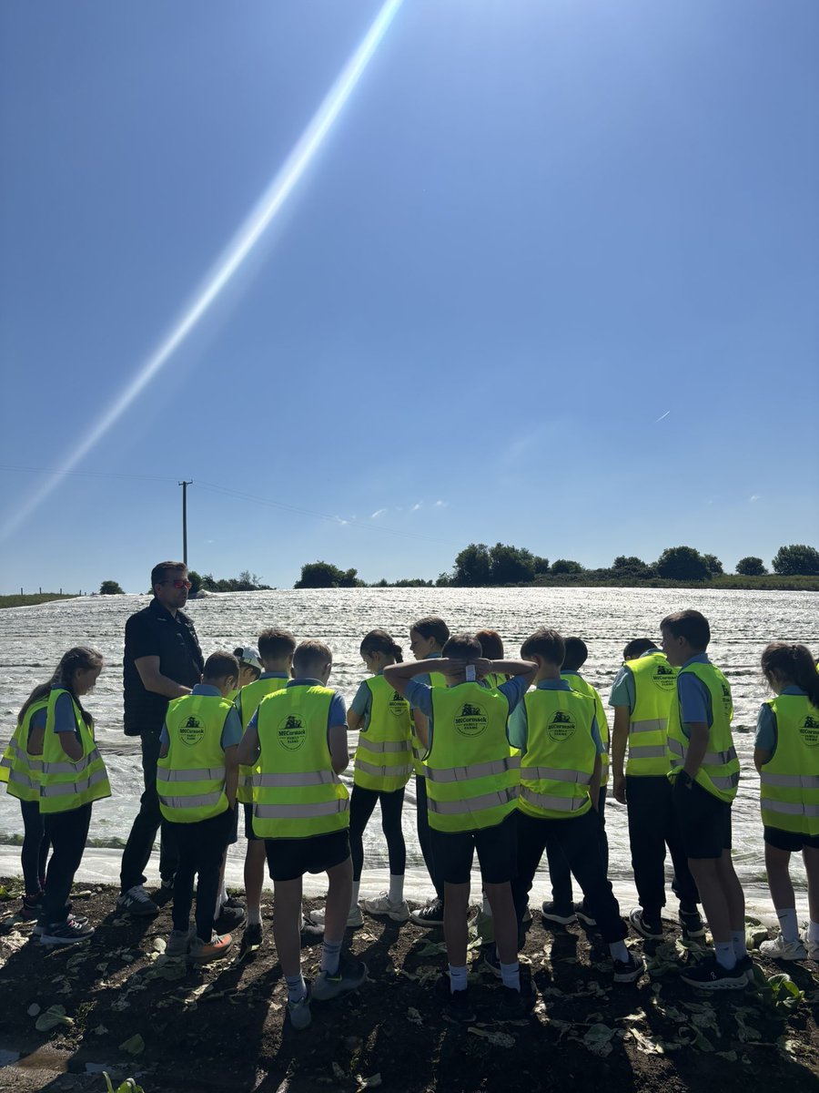 Agri Aware (@agriaware) on Twitter photo A fantastic day out <a href="/McCormackFarms/">McCormack Family Farms</a> for a lucky Incredible Edibles class this morning!
Students from Dunboyne Primary School got to look at farm machinery, explore what was growing in the fields and learn how McCormacks grow lots of different crops like Pak Choi and Lettuce🥬 A fantastic day out <a href="/McCormackFarms/">McCormack Family Farms</a> for a lucky Incredible Edibles class this morning!
Students from Dunboyne Primary School got to look at farm machinery, explore what was growing in the fields and learn how McCormacks grow lots of different crops like Pak Choi and Lettuce🥬