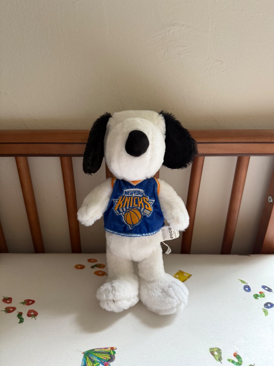 This is dangerous propaganda. 

Snoopy is a known Knicks fan: