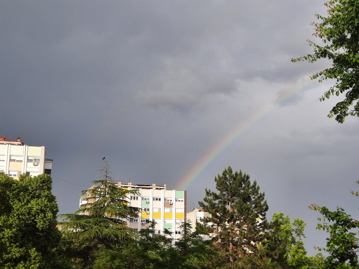 Phoenix™ (@dataasum) on Twitter photo 