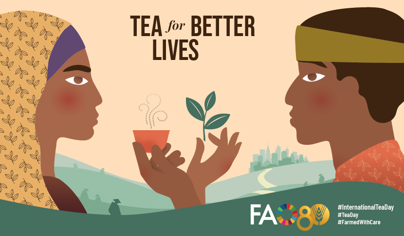 UN_Nigeria's tweet photo. Happy #InternationalTeaDay! Did you know smallholders are responsible for 60% of world tea production.
#FarmedwithCare #IPickedYourTea https://t.co/uoPTh09lgM