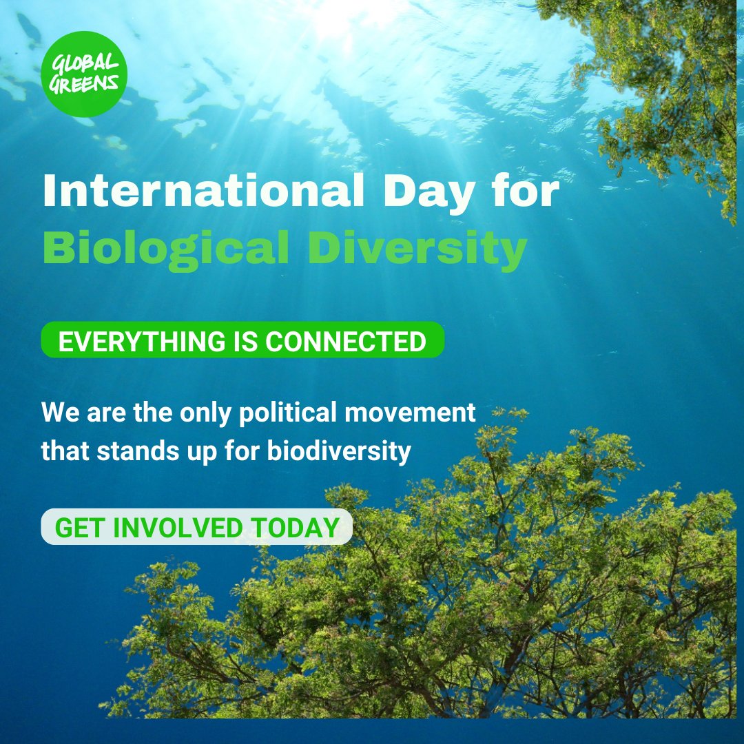 globalgreens's tweet photo. 🌍🌱 This Biodiversity Day, Stand Up for Nature! 🌱🌍
Our planet’s rich biodiversity is under threat—from deforestation to pollution to climate breakdown. But together, we can protect the ecosystems that sustain life. https://t.co/3GTqpdPVuP