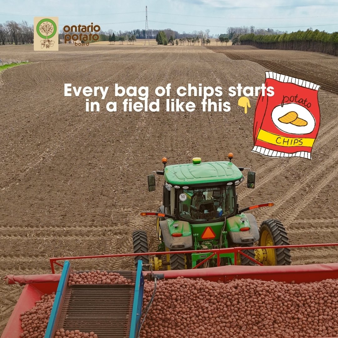 As we start a new growing season, we remind you that next time you reach for chips made with #OntarioPotatoes, you are also supporting the growers behind them. 👏🥔