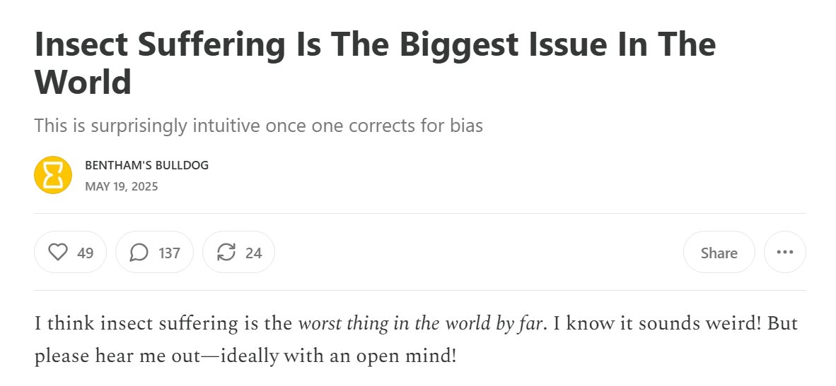 Kitten 🐈 tweet media