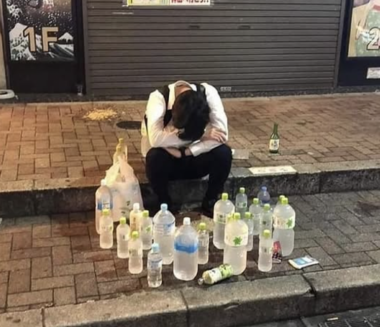 Carnivore Aurelius ©🥩 ☀️🦙 tweet media