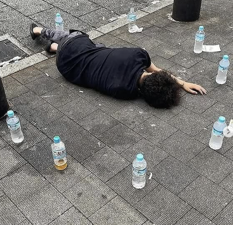 Carnivore Aurelius ©🥩 ☀️🦙 tweet media