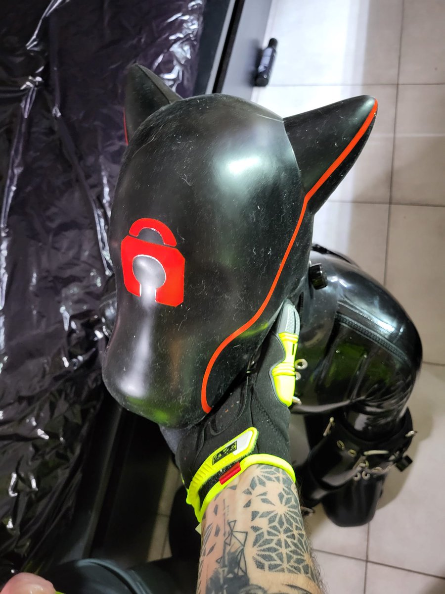 Tyrio (@tyrio93) on Twitter photo just before <a href="/Sly_volpe/">🦊Sly_volpe🐾20K</a> uses me as an "hole", then leaves me like that all day...🐾💦
#puppy #rubbergay #rubber #puppyplay #gayfetish just before <a href="/Sly_volpe/">🦊Sly_volpe🐾20K</a> uses me as an "hole", then leaves me like that all day...🐾💦
#puppy #rubbergay #rubber #puppyplay #gayfetish
