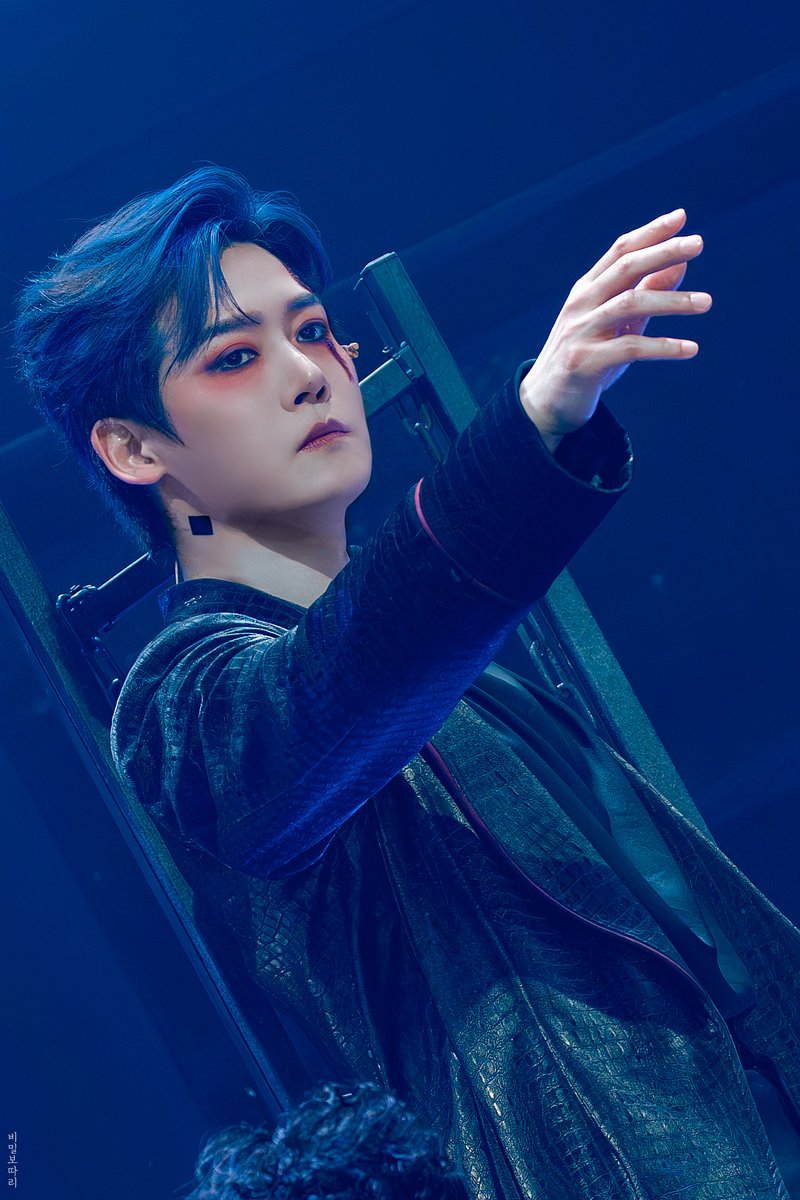 비밀보따리 tweet media