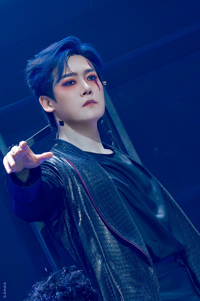 비밀보따리 tweet media