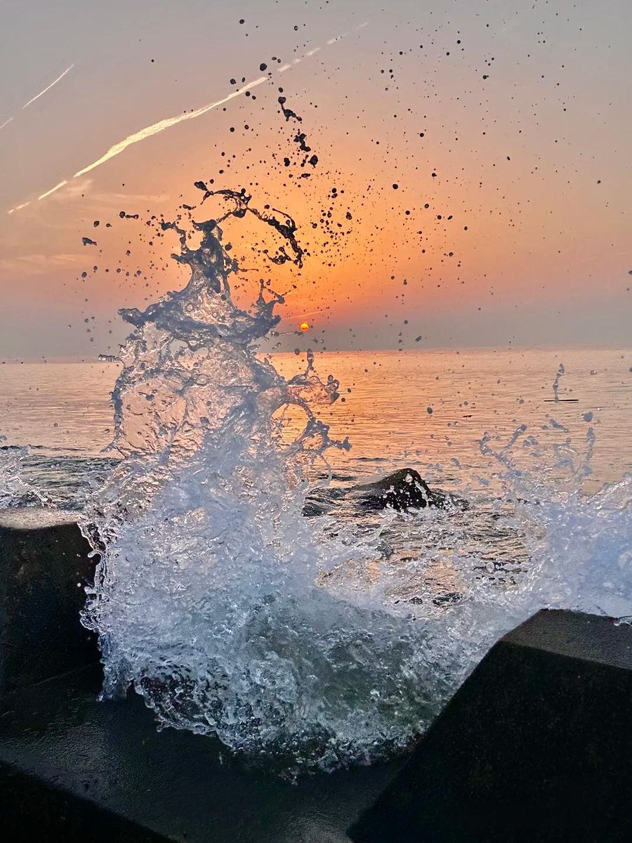 浪花才是自由的舞者