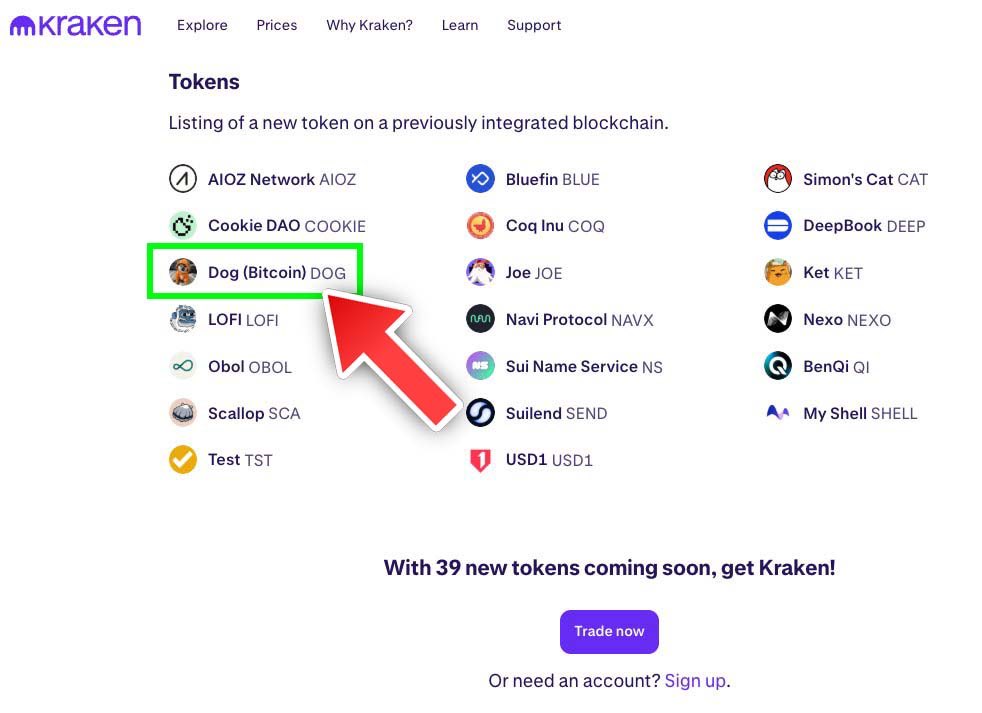 welcome to <a href="/krakenfx/">Kraken Exchange</a>’s roadmap $DOG 🫡