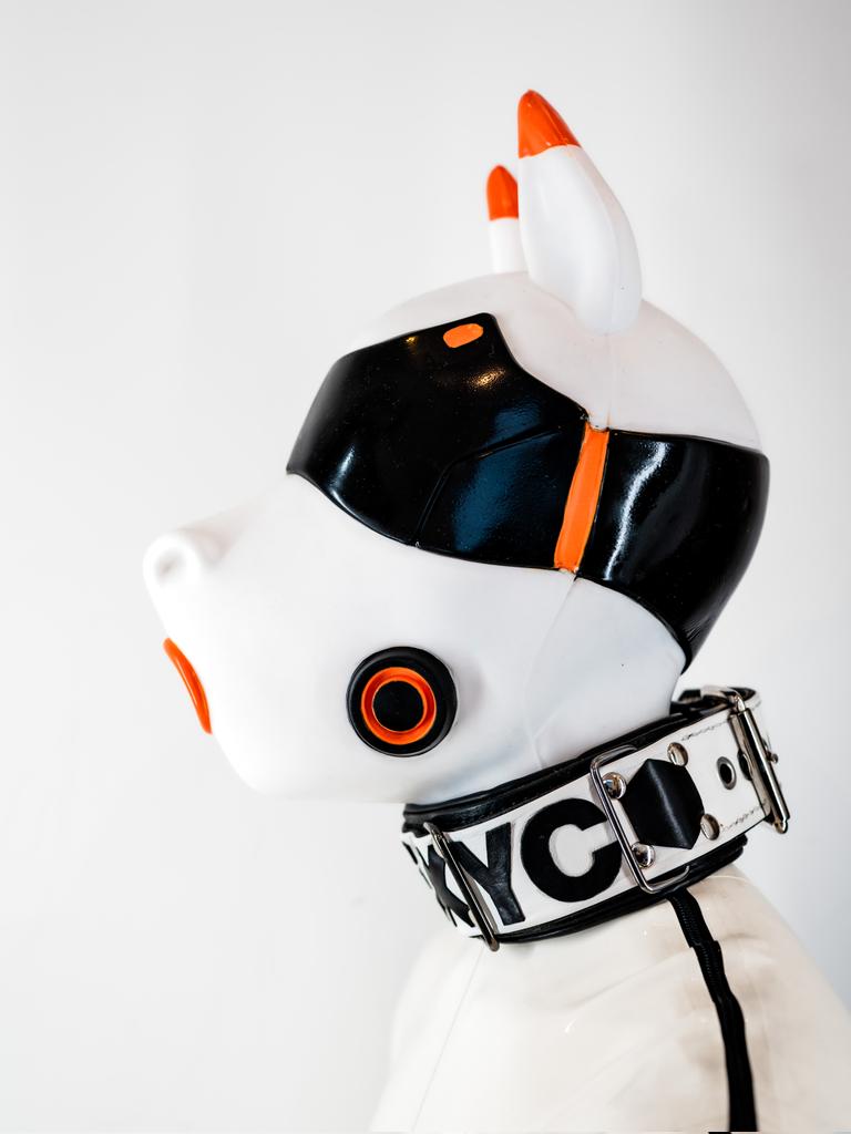 Pony got pretty with <a href="/furrjoi01/">FURRJOI</a> 's new gear 🐴

📸: <a href="/pupflint/">flint</a> #AD