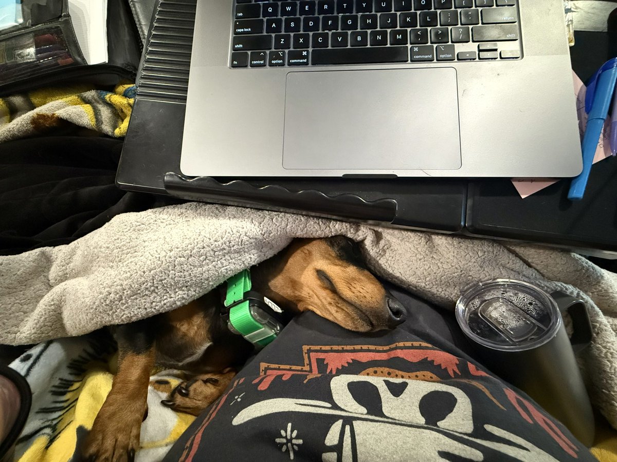 APPARENTLY someone (it’s me, I’m someone) miscalculated her ending word count by about 15,000 words that have to be finished in two weeks 🤦‍♀️

83,282/95,000 words complete! 

#WritingCommunity #AmWriting #WordsAreHard #MFAthesis #Deadline #SpeculativeThriller #SecondSight