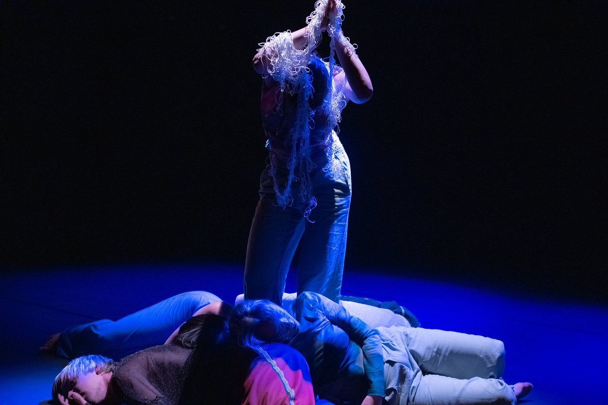 Festival 10 Sentidos tweet media