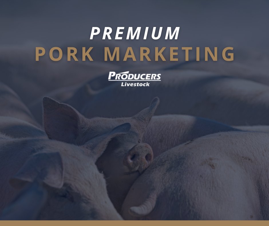 It may be Beef Month, but our pork agents are always here to keep your hog operation profitable and your success top of mind. 🐖

For premium pork marketing services, give us a call 📲 712-274-0536